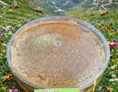 Karakovan Balı 1400-1600 gr